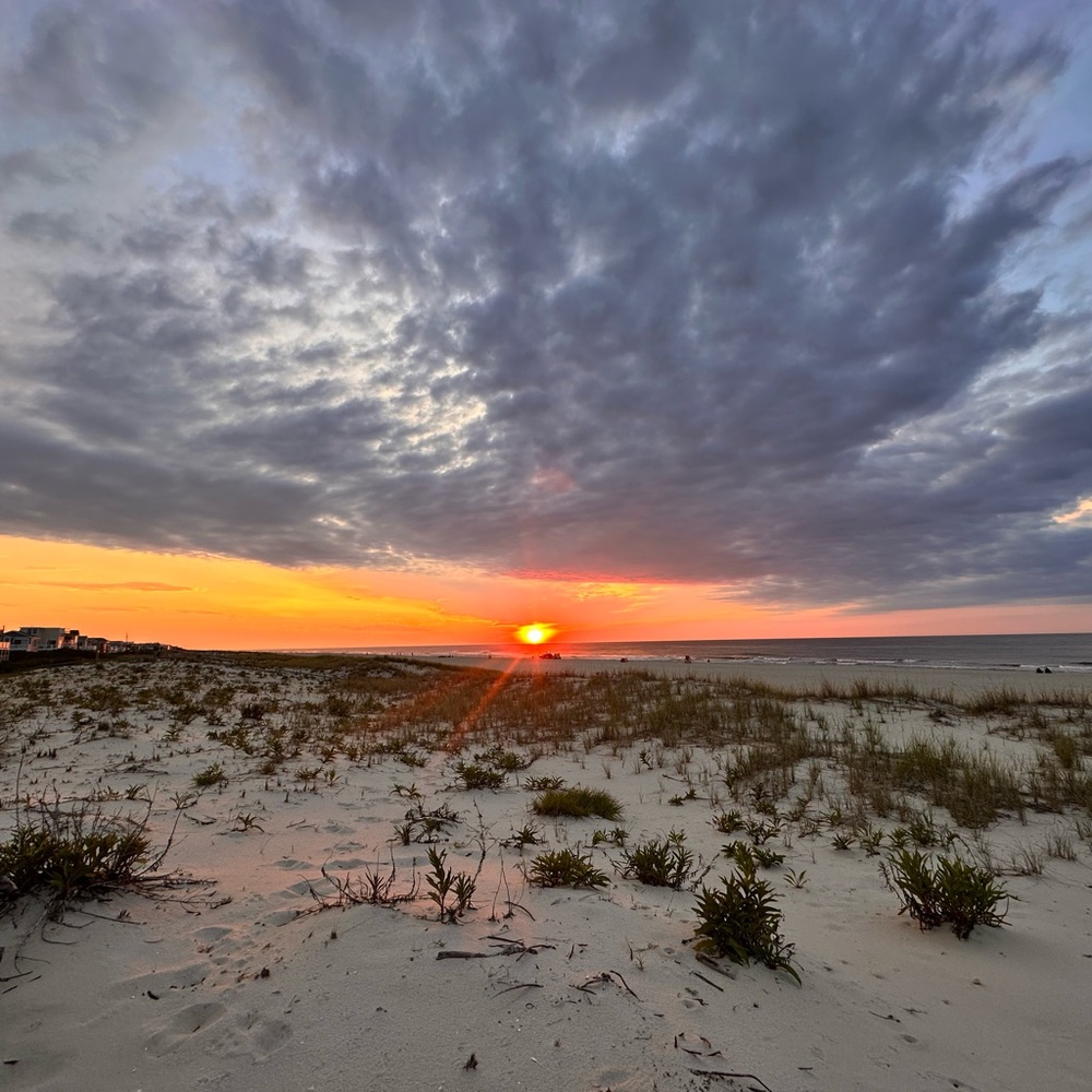 Meet your Posher, Marvin a